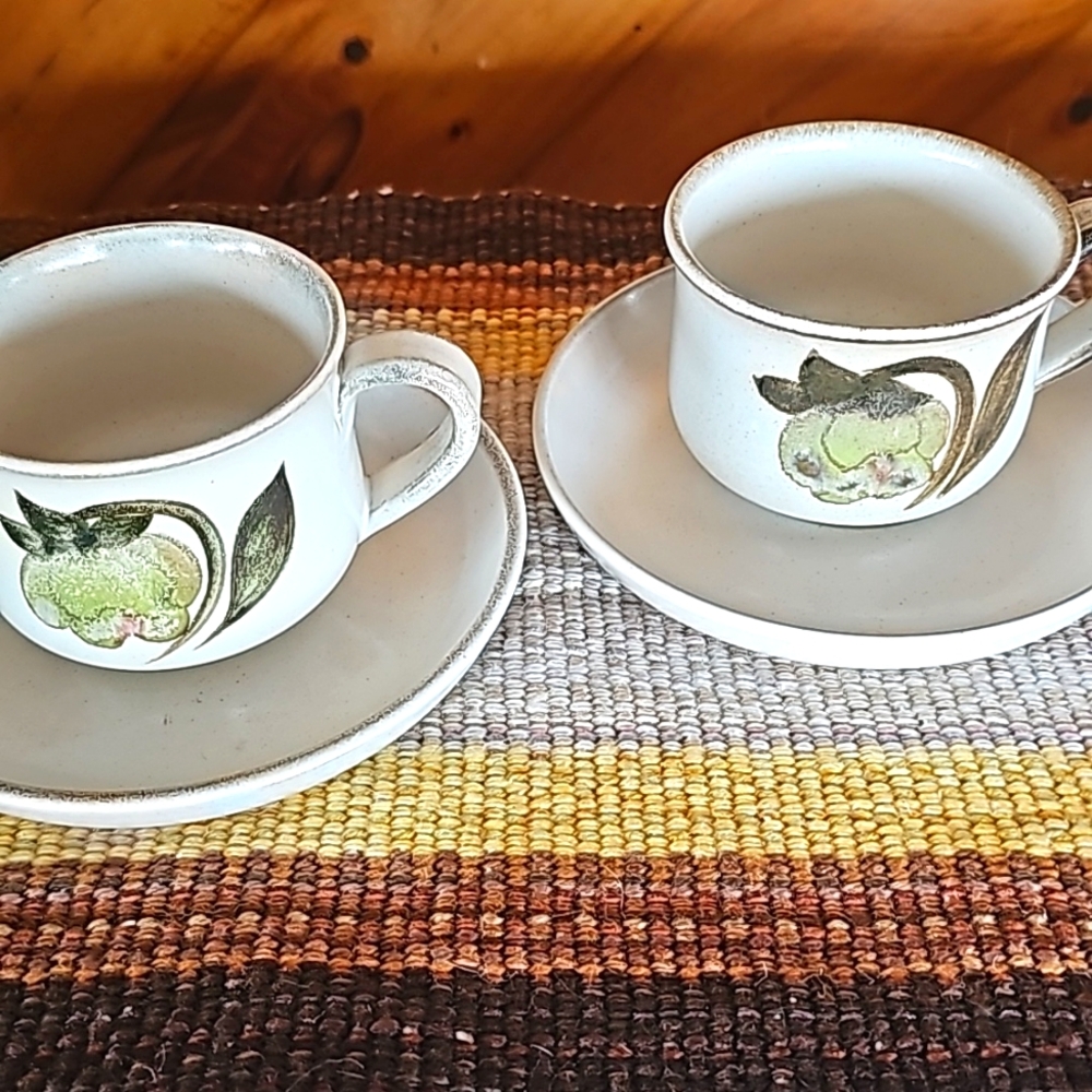 Set of 2 Denby Troubadour Cup & Saucer